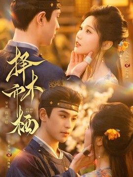 择木而栖海报